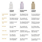 Brilliant Blonde Purple Shampoo